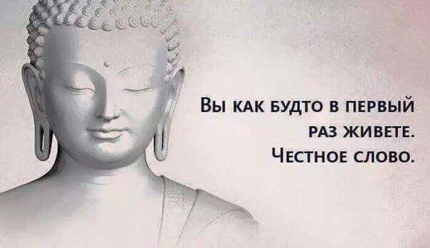 Смотрю на ленты тех, кто утверждает, будто мы живем не один раз, и думаю: милый, сколько же раз ты можешь бегать в колесе сансары и почему твой опыт не извлекаем? Почему же тебе не помогли предыдущие реинкарнации?