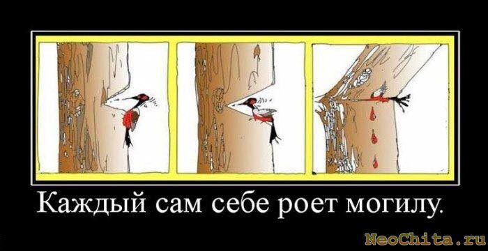 Страна превратилась в дом терпимости к идиотствующим....и, к их счастью, не только наша.