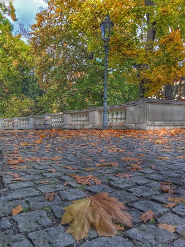 О'сень, сижу я под тобою... Поникнув трезвой головою