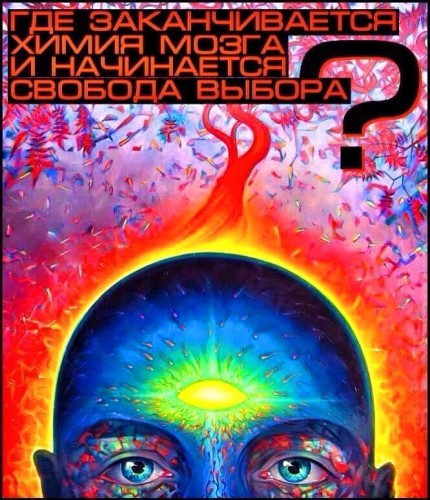 Свобода выбора начинается с изменения химии мозга.