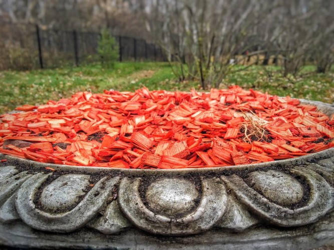 Не воспринимай мир так, как научили, учись у мира воспринимать его таким, каким его нет.