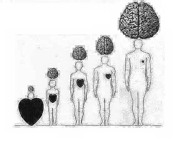 Иллюстрация абсурдного утверждения. Эмоциональный интеллект коррелирует с общим интеллектом, а не обратно пропорционален.