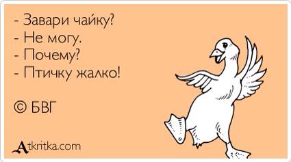 - Завари чайку? - Не могу. - Почему? - Птичку жалко!