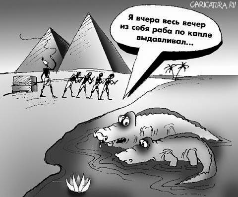 Чаще всего жертвами ощущает себя сообщество людей с рабской психологией.