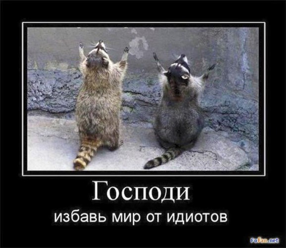 Когда идиот перестаёт быть оптимистом, он свирепеет перед разбитым корытом иллюзий и роет землю в поисках виноватых.