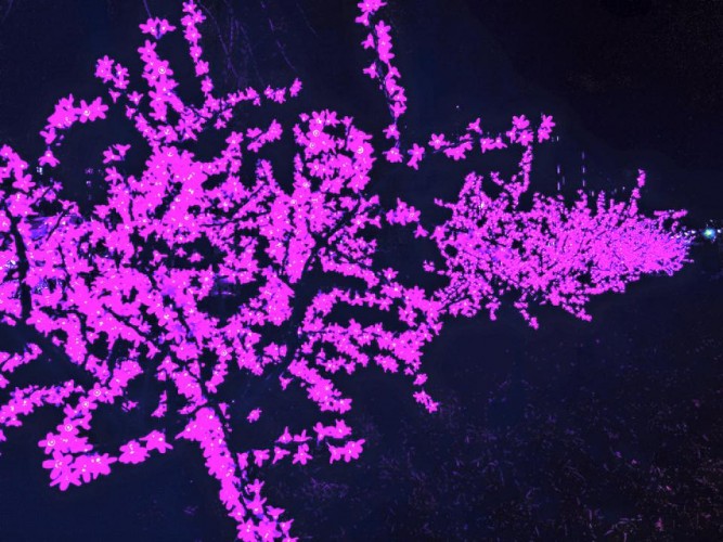 Не зря был прожит день, а за бабло...