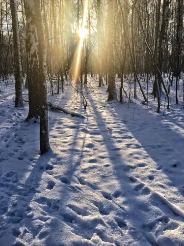С наступающими праздниками в город наконец-то ворвётся Зима...