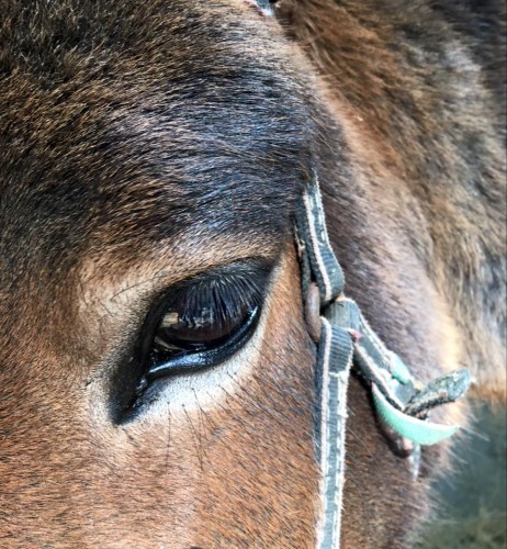 Перемените книгу перемен Уж больно много в этой грустных тем...