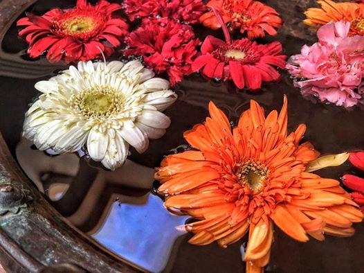 Не отказывай себе в удовольствии, за тебя это сделают другие...