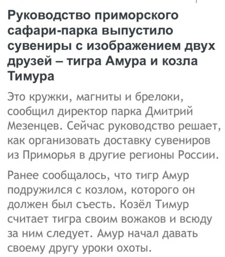 Амур пронзён стрелой Тимура Его пустили в огород Но дружба победила голод Тимура не возьмет он в рот.