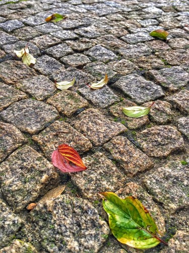 Сыпал мудростями от безысходности...зашиб семерых...