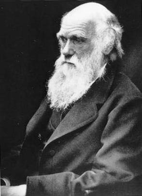 Эволюция лишь тогда чего-нибудь стоит, если она умеет защищаться.