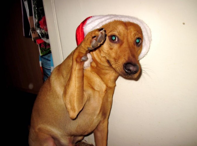 Рвал шаблоны мироздания, как тузик шапку...